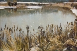 gal/fineart/Landscape/_thb_Snow pond.jpg